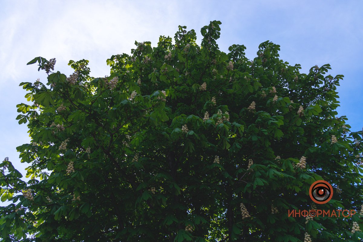 Ближе к небу Ближе к небу