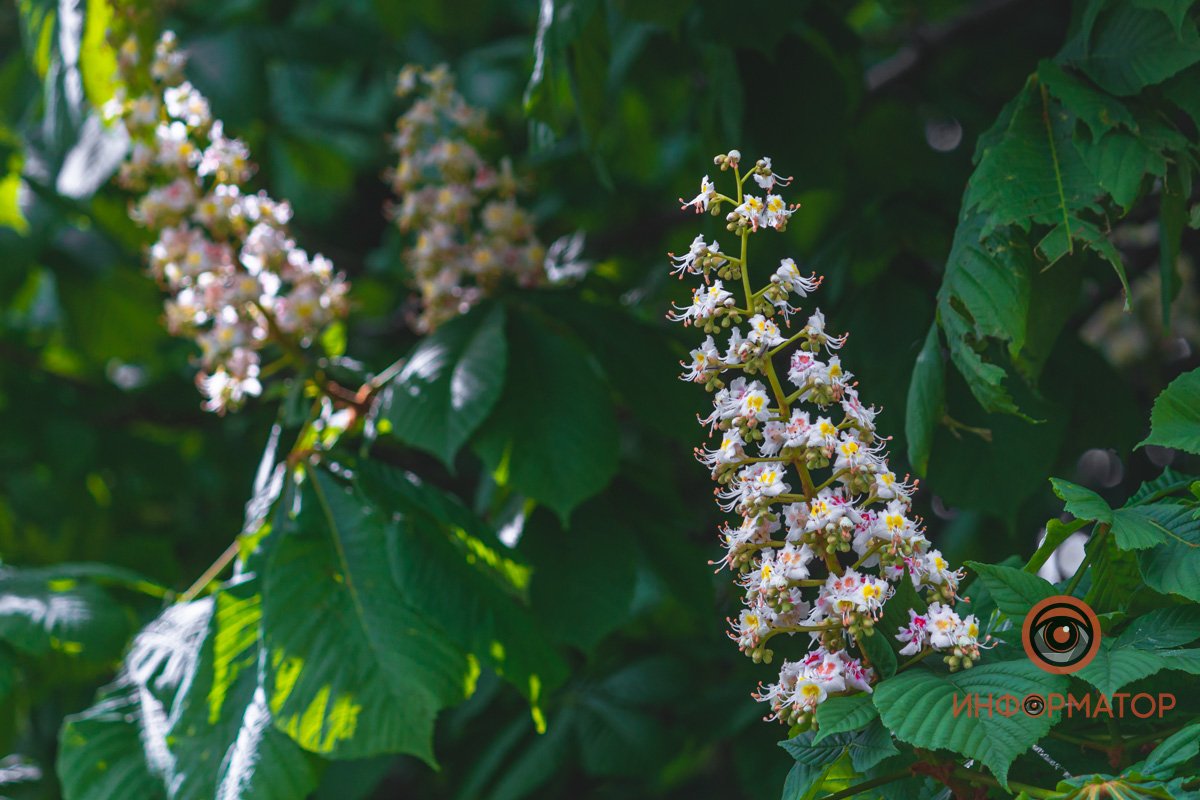 Выровняли спинки Выровняли спинки