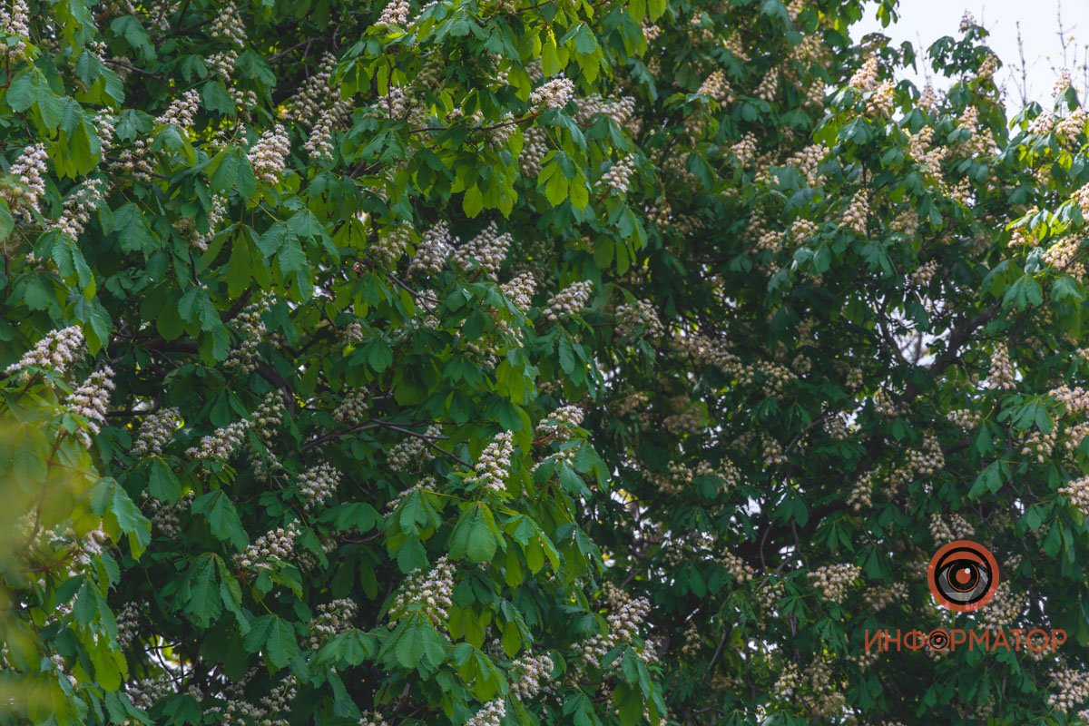 Плотная защита от солнца Плотная защита от солнца