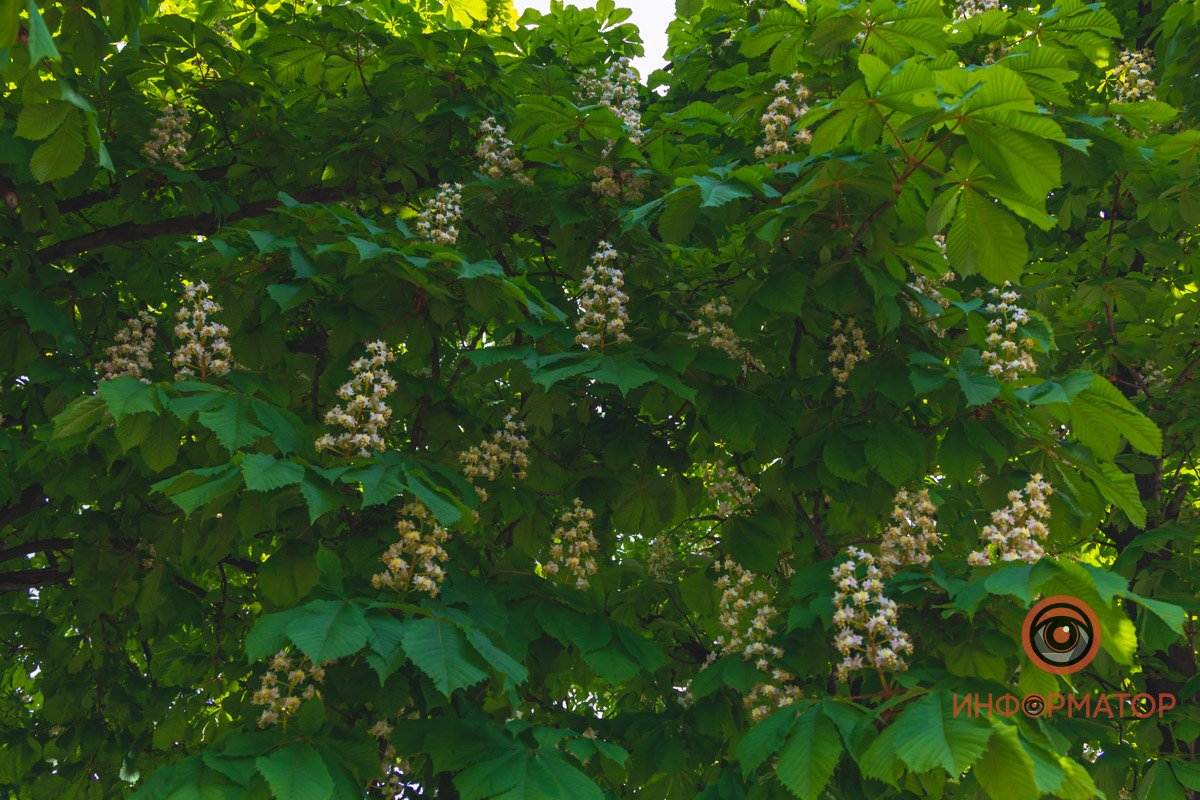 Стараются не палиться Стараются не палиться