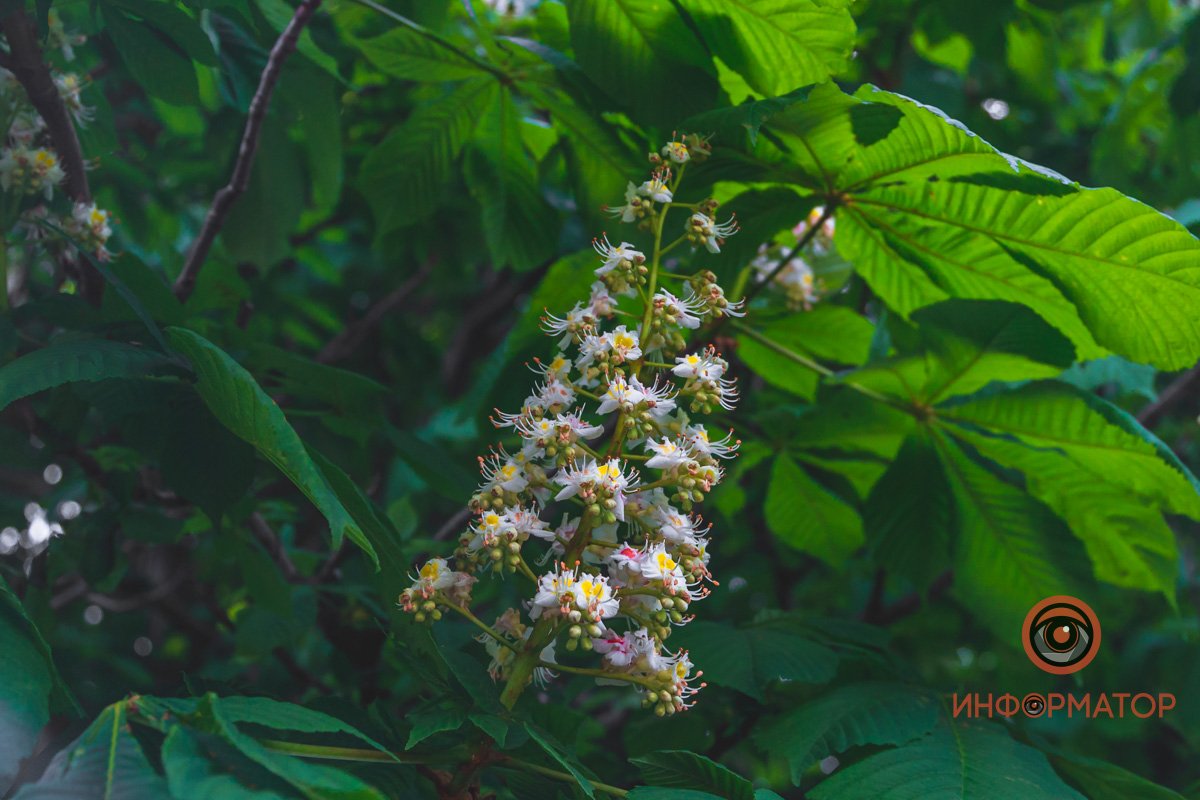 Дальше будет только больше Дальше будет только больше