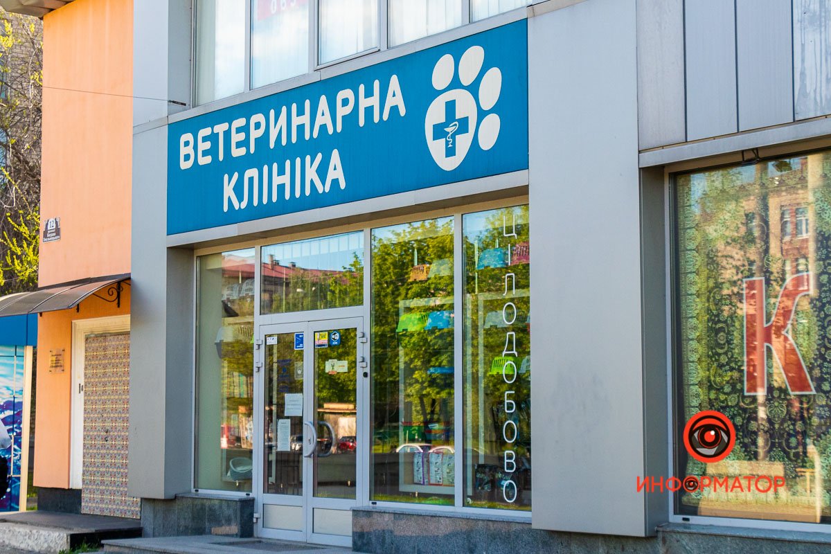 Собака не нуждалась в экстренной помощи Собака не нуждалась в экстренной помощи