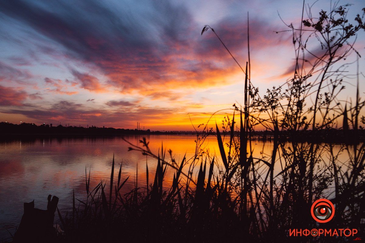 Сквозь заросли Город просыпается: как Днепр встретил рассвет на косе на Малиновского 16