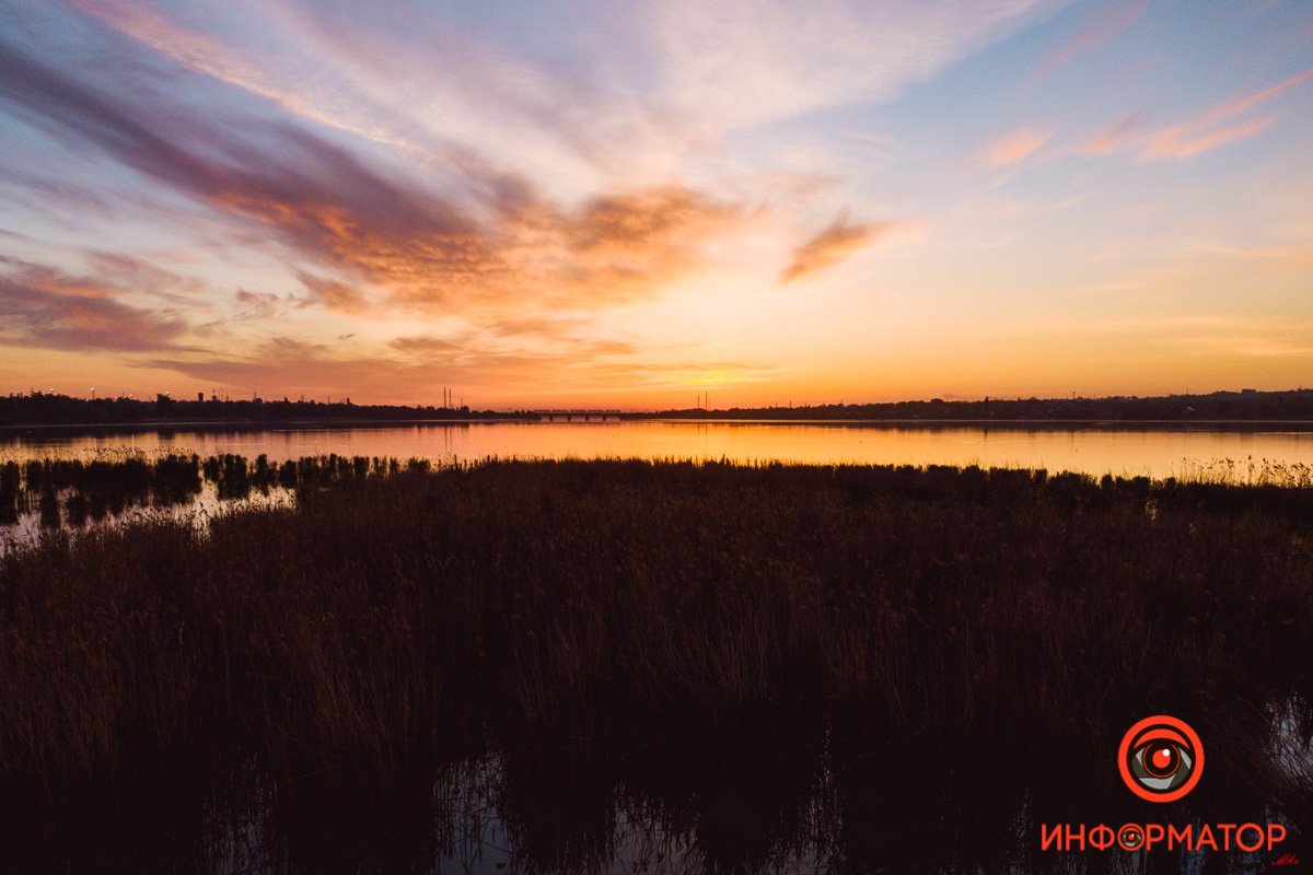 Маленький островок из растений Город просыпается: как Днепр встретил рассвет на косе на Малиновского 21