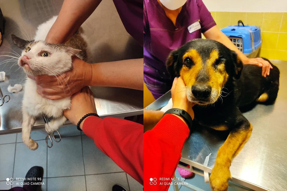 Рак - не приговор, правда? Рак - не приговор, правда?