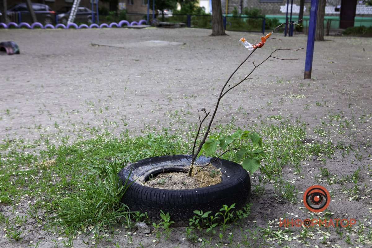 Делайте правильный выбор Делайте правильный выбор