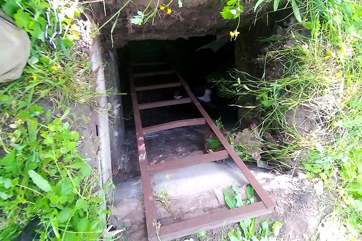 В Днепропетровской области 100-килограммовый бык упал в погреб: доставать пришлось спасателям 1