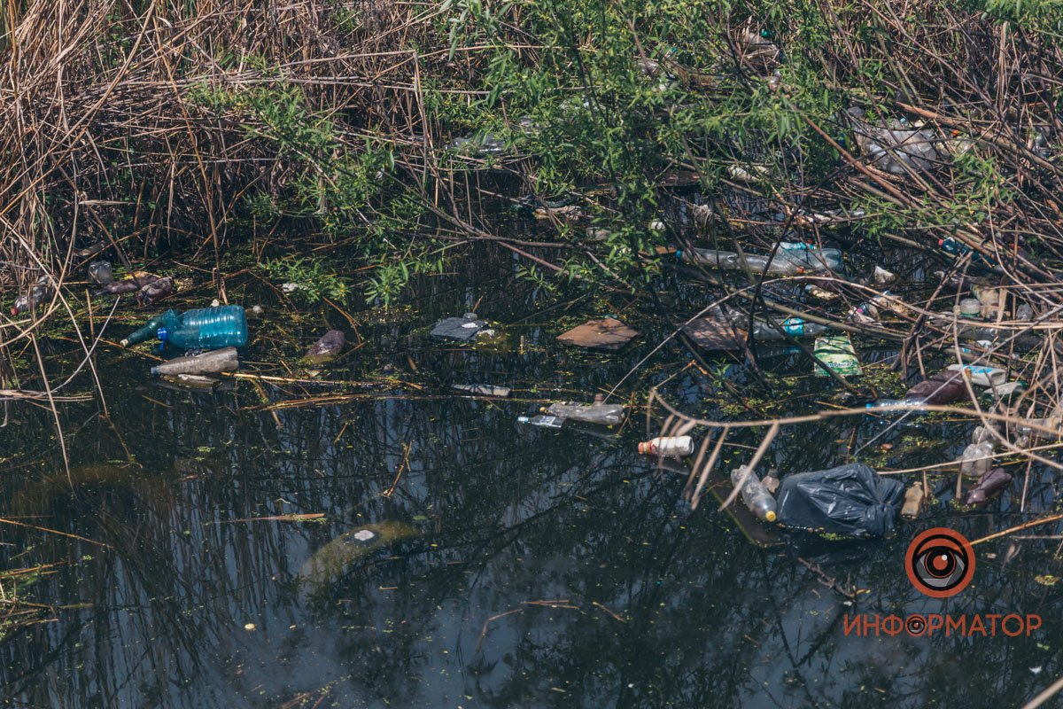 В воде плавают бутылки, баклажки и упаковки от продуктов Мертвые черепахи и мусор: как сейчас выглядит озеро Куриное в Днепре? 1