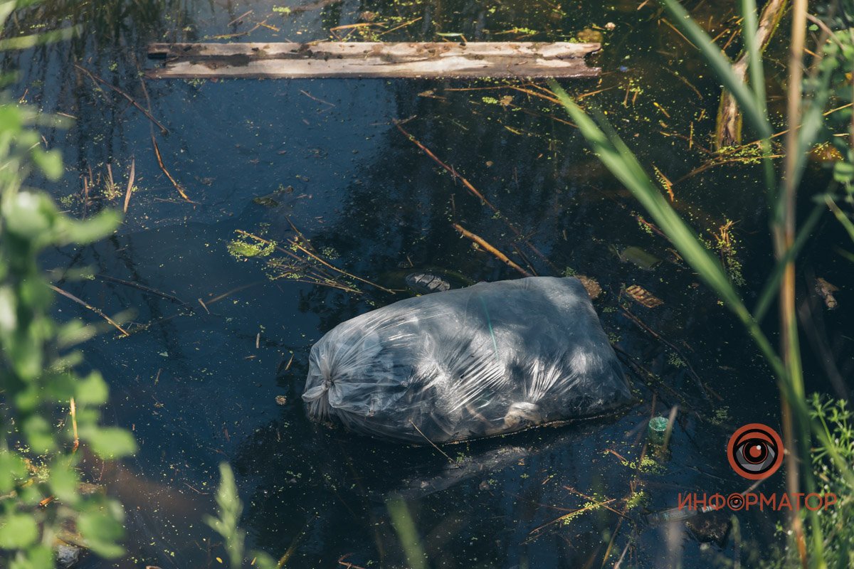 Можно увидеть и целые пакеты с мусором, которые выкинули в озеро Мертвые черепахи и мусор: как сейчас выглядит озеро Куриное в Днепре? 2