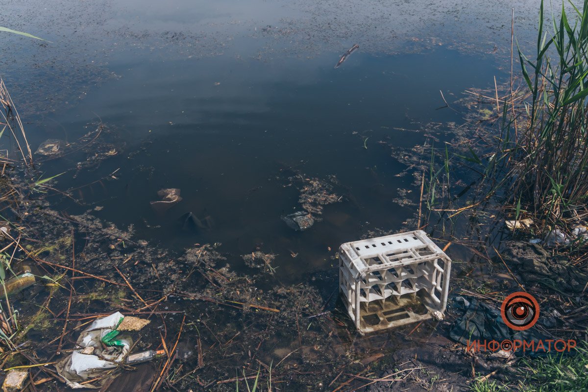 Если отважитесь искупаться, рядом с вами будут плавать коробки и мешки с мусором Мертвые черепахи и мусор: как сейчас выглядит озеро Куриное в Днепре? 5