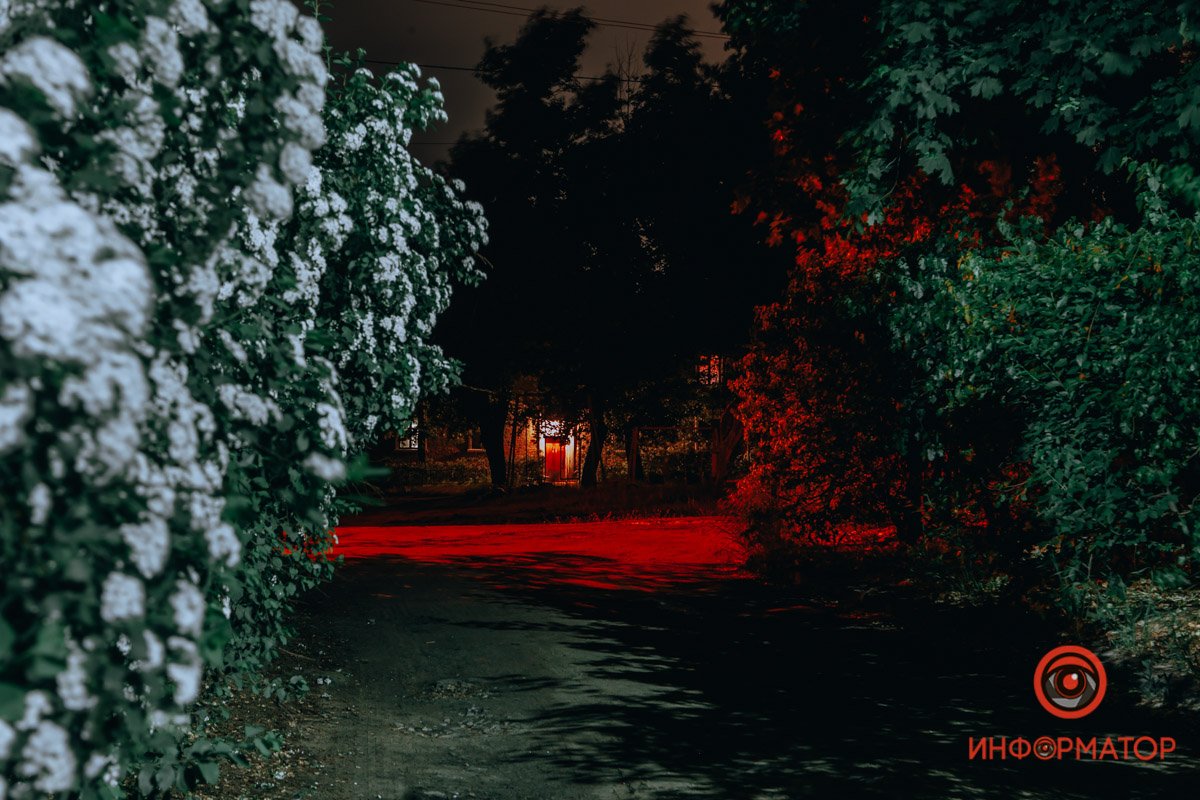 Куда ведет эта дорога?