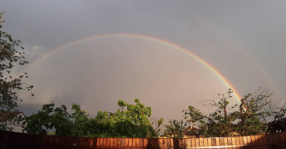 Фото: Дмитрий Дворский