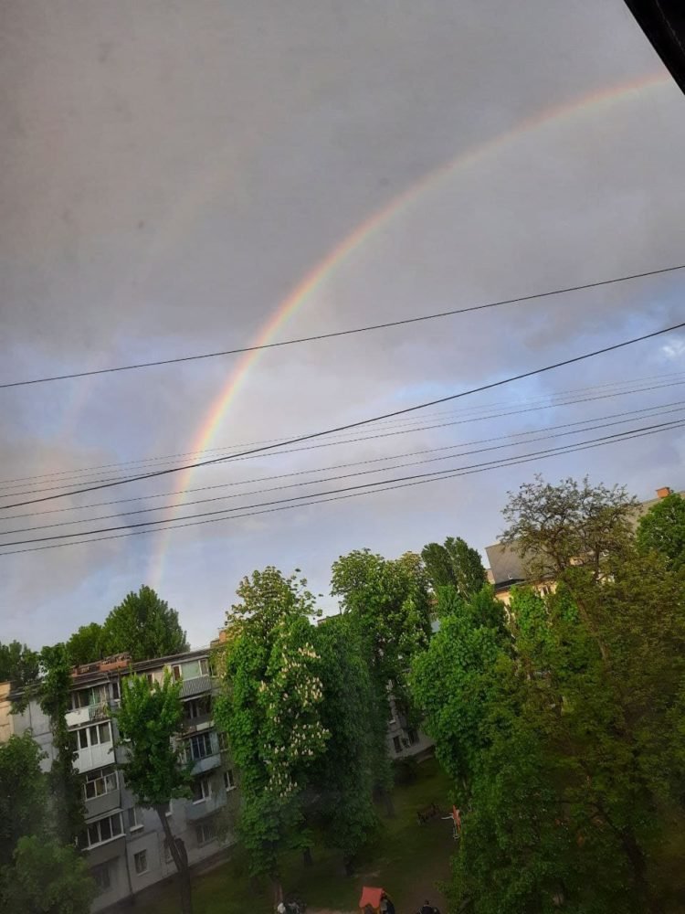 Фото: Viktoriia Nikolohorska