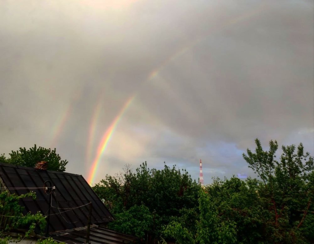 Фото: Татьяна Гаврилова