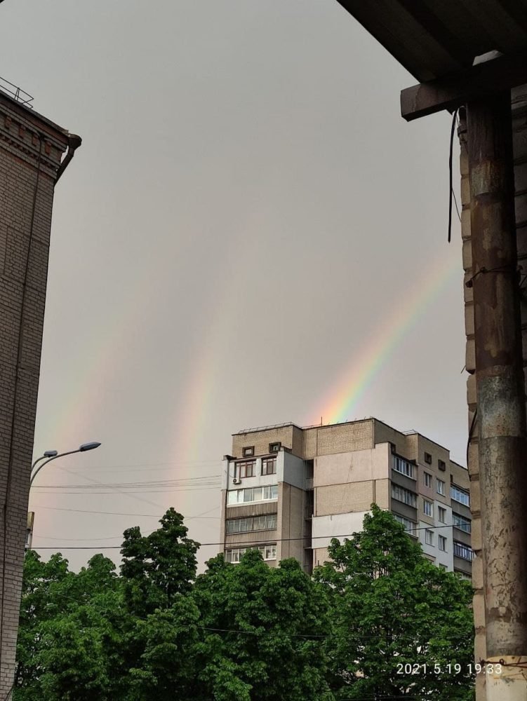 Фото: Sergei Gomerov