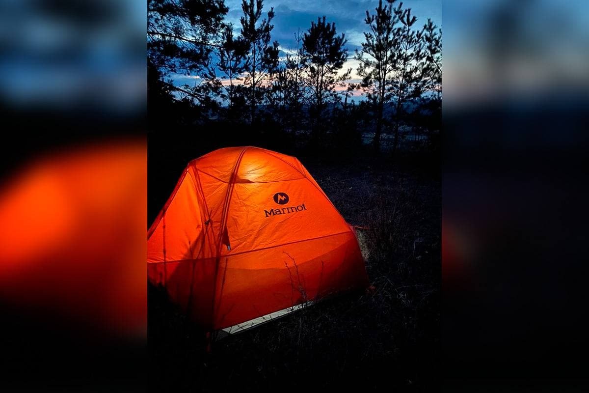 Вокруг палатки бегал лось