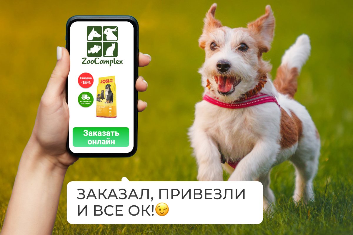 Как защитить своего питомца в сезон клещей 2