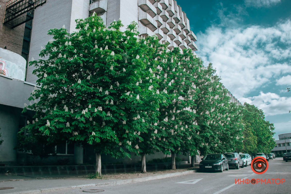 „Наше лето — только выкрашенная в зеленый цвет зима.“ — Генрих Гейне 