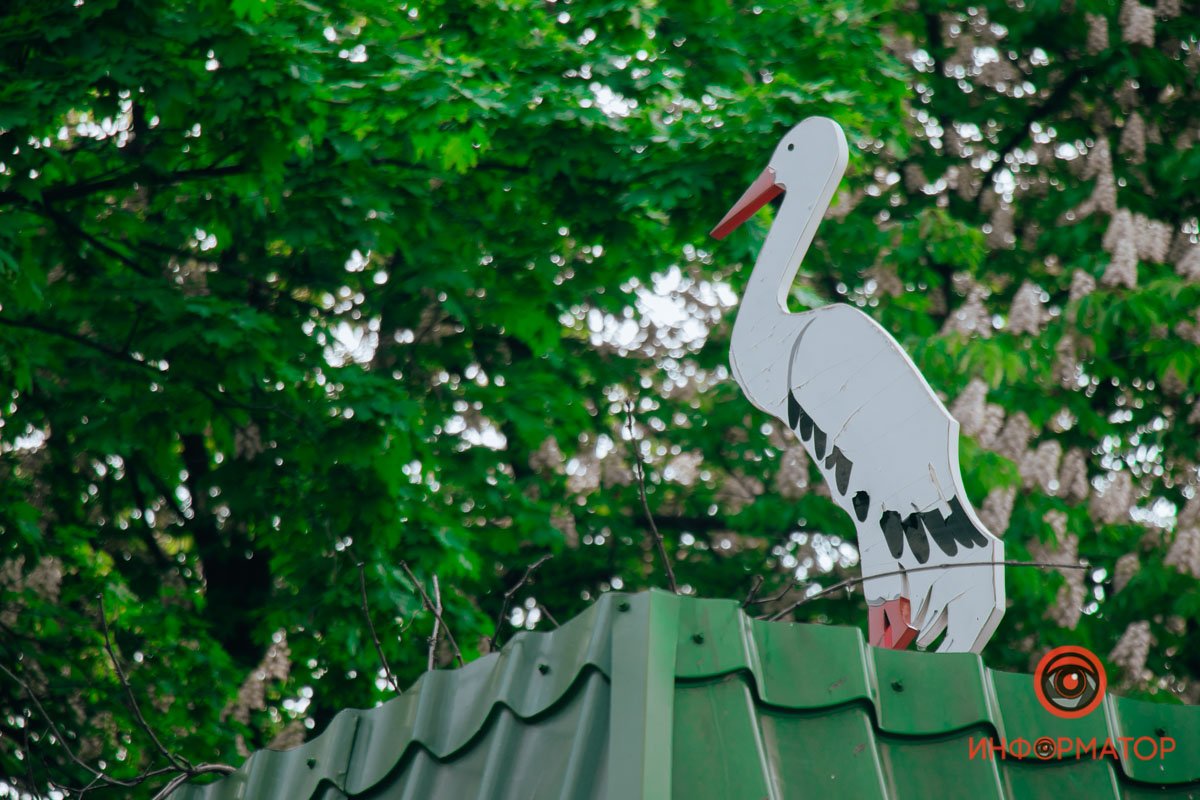 „Мальчик посмотрел; крышка чайника начала приподыматься, и из-под неё выглянули свежие беленькие цветочки бузины, затем выросли и длинные зелёные ветви. Они росли даже из носика чайника, и скоро перед мальчиком был целый куст; ветви тянулись к самой постели и раздвигали занавески. Как славно цвела и благоухала бузина! Из зелени её выглядывало ласковое лицо старушки, одетой в какое-то удивительное платье, зелёное, как листья бузины, и всё усеянное белыми цветочками. Сразу даже не разобрать было — платье ли это, или просто зелень и живые цветочки бузины.“ — Ханс Кристиан Андерсен