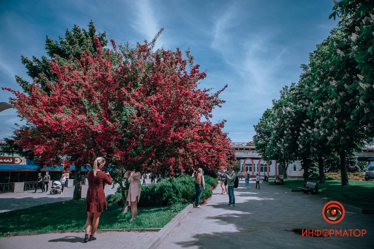 Лето совсем скоро Лето совсем скоро