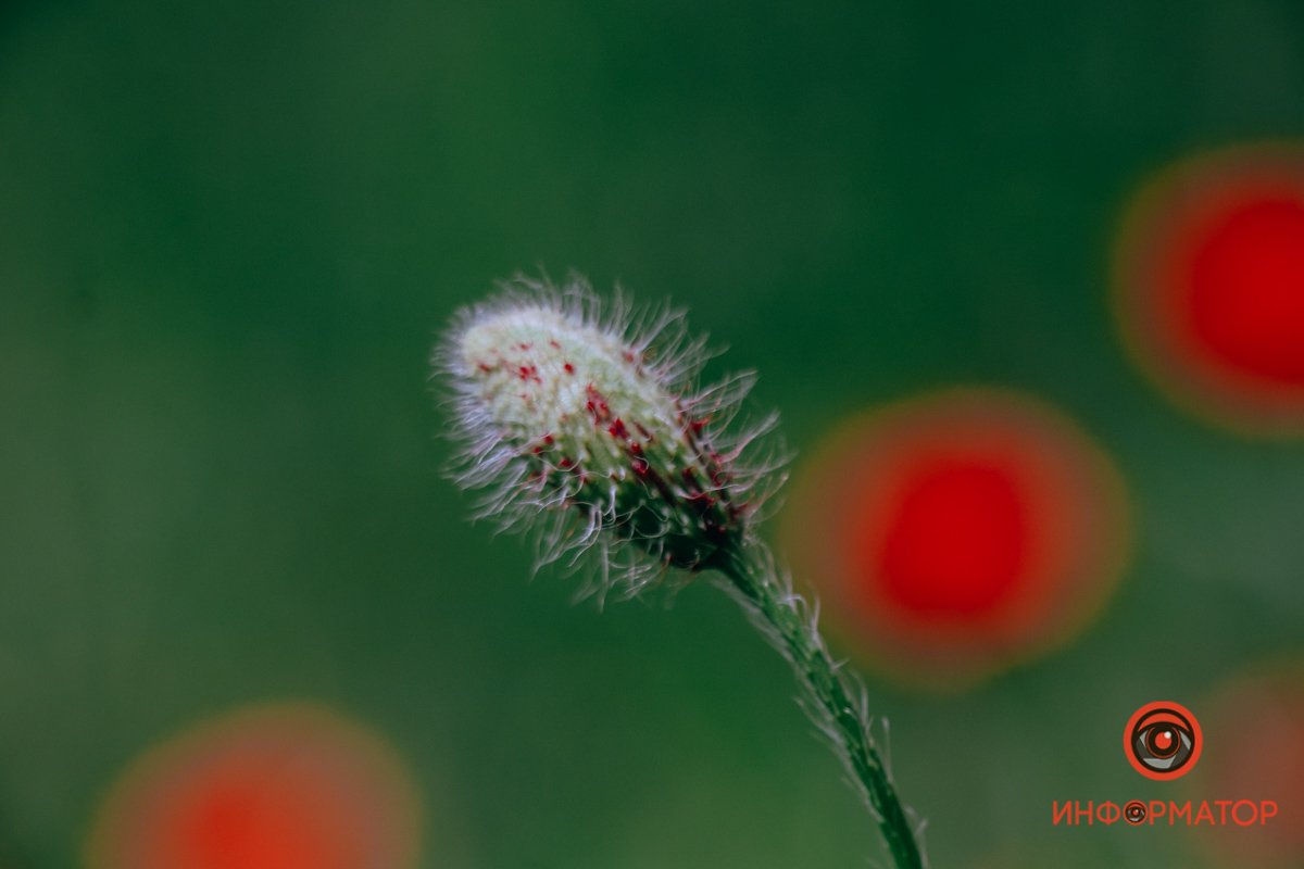 На подходе На подходе