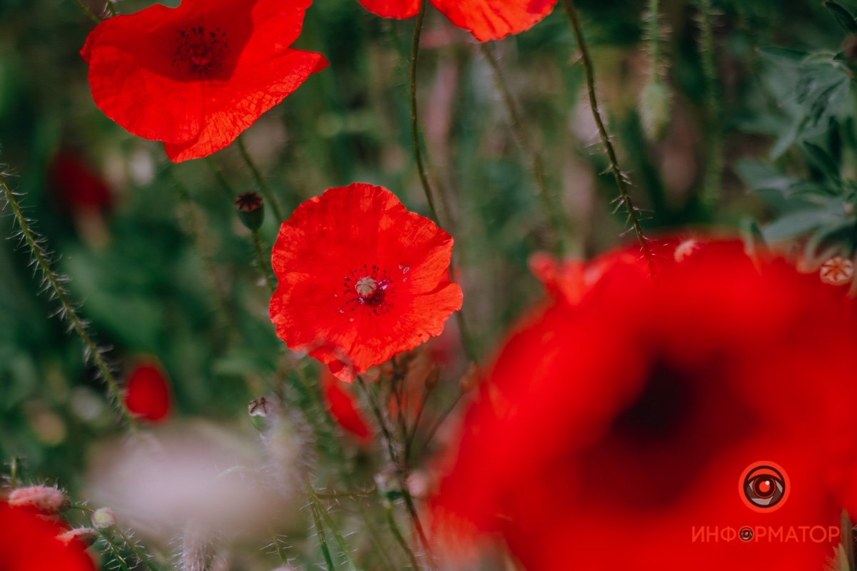 Не такой как все Не такой как все