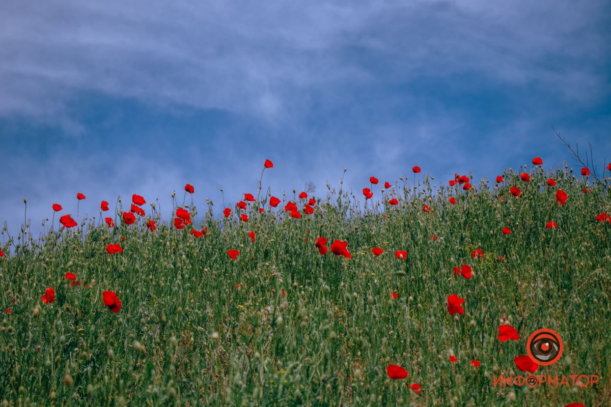 Взбирается все выше Взбирается все выше