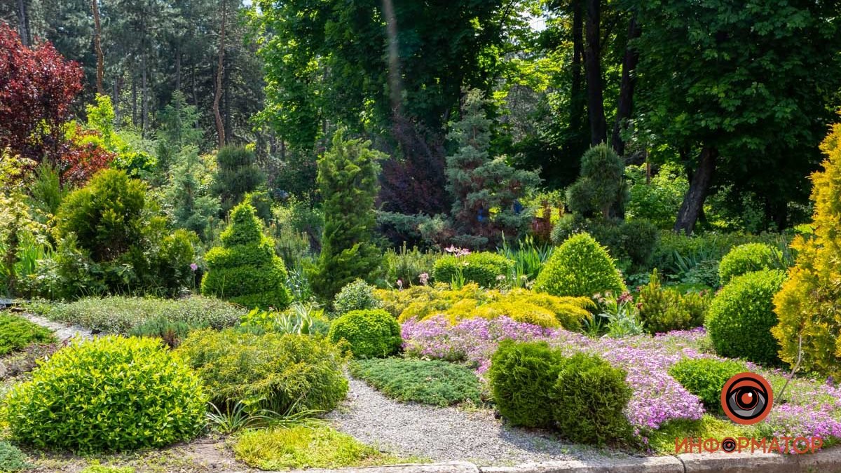 Ботанический сад ДНУ