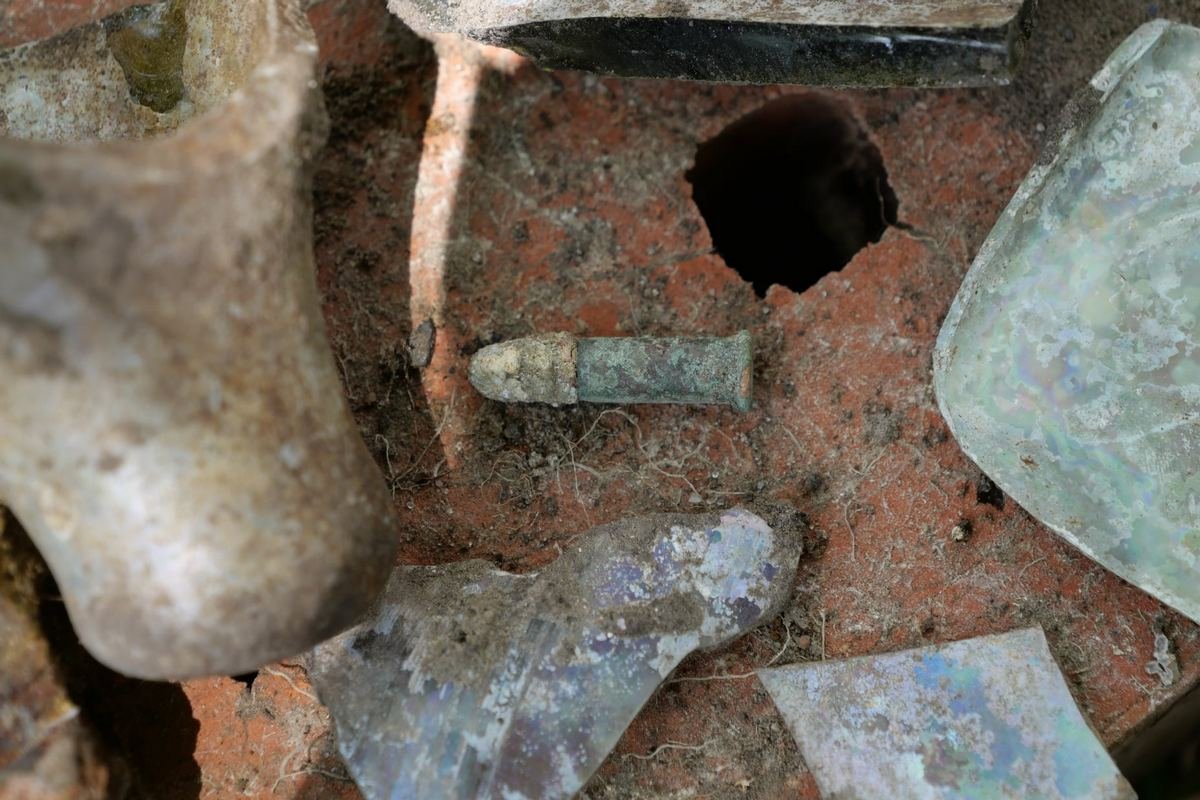 История - это интересно