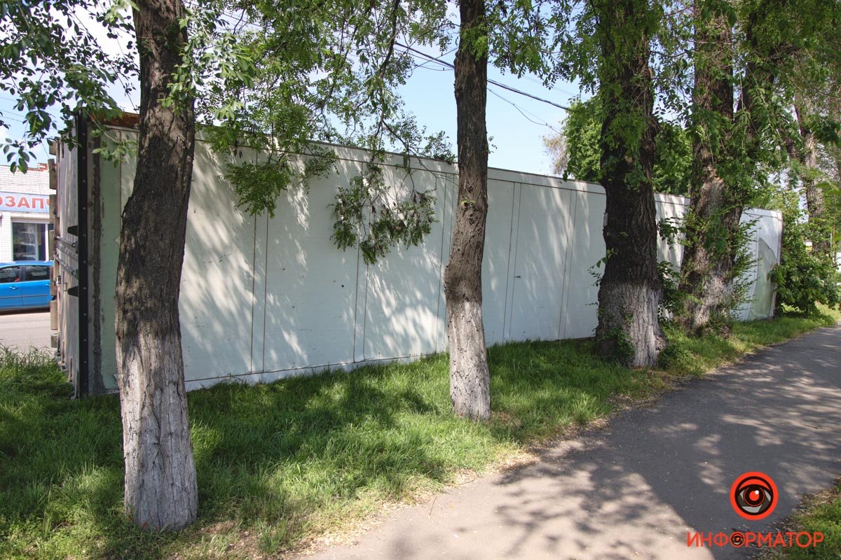 Деревья не пострадали Деревья не пострадали