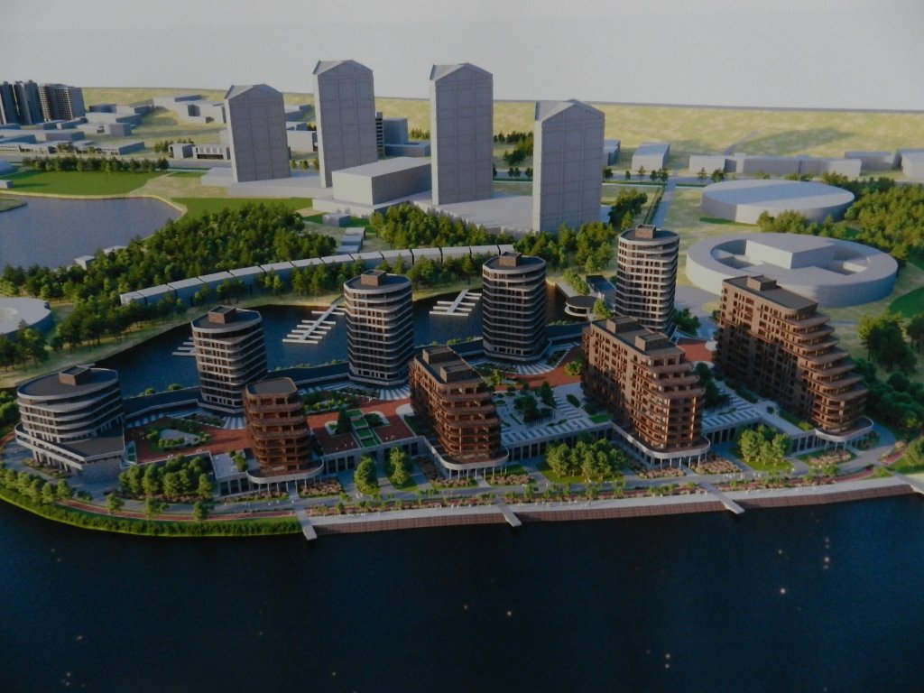 Площадки для выгула собак не предусмотрели Площадки для выгула собак не предусмотрели