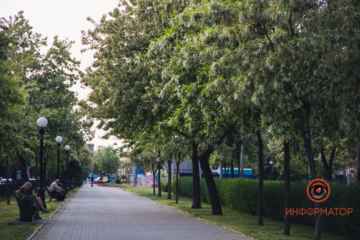 Место для прогулок Место для прогулок