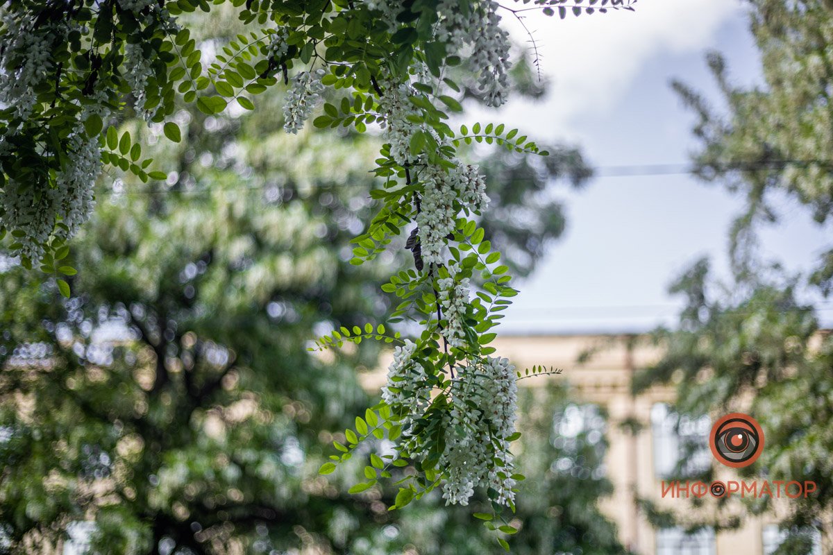 Грозди Грозди