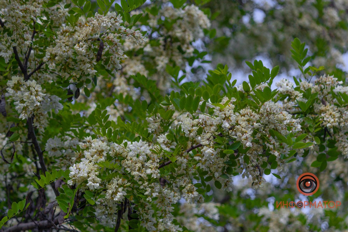 Весна на финише Весна на финише