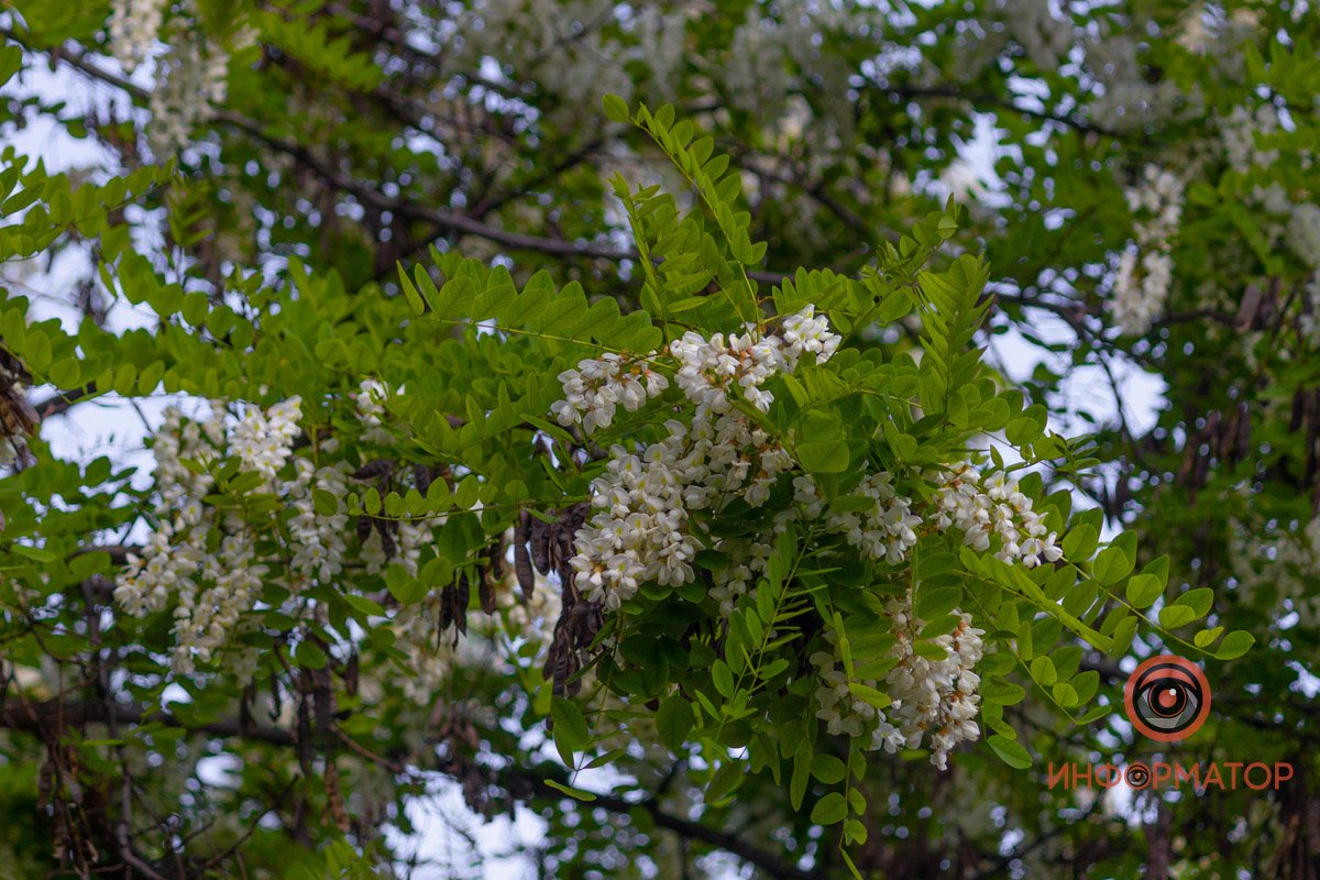 Представили аромат? Представили аромат?