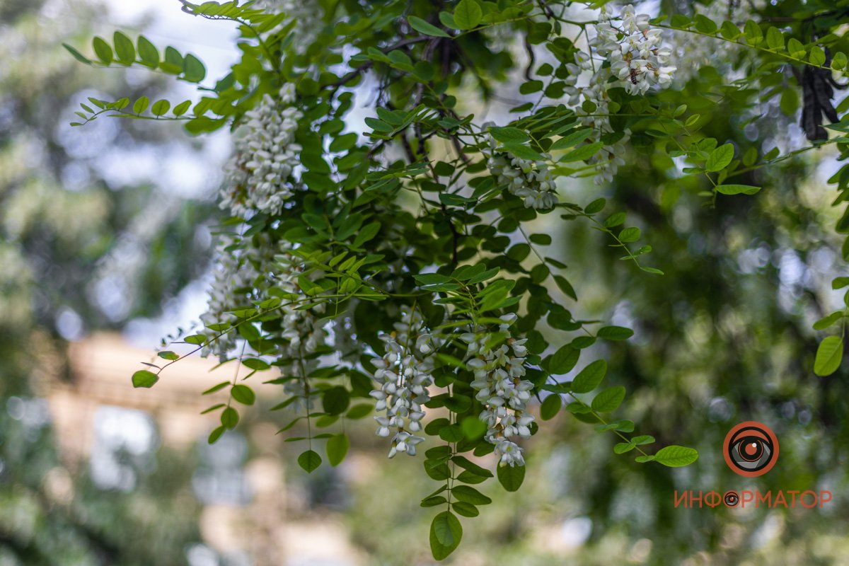 Наблюдают за жизнью внизу Наблюдают за жизнью внизу