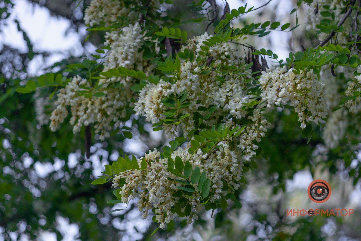 Скоро лето Скоро лето