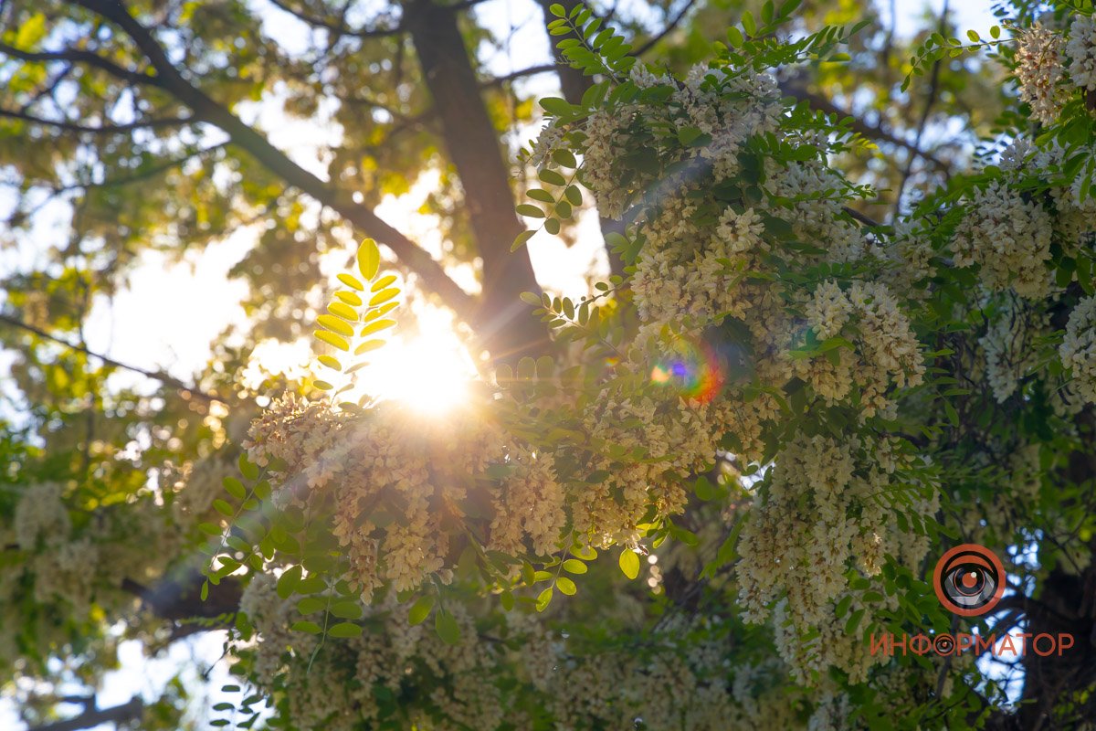 Подсматривает Подсматривает