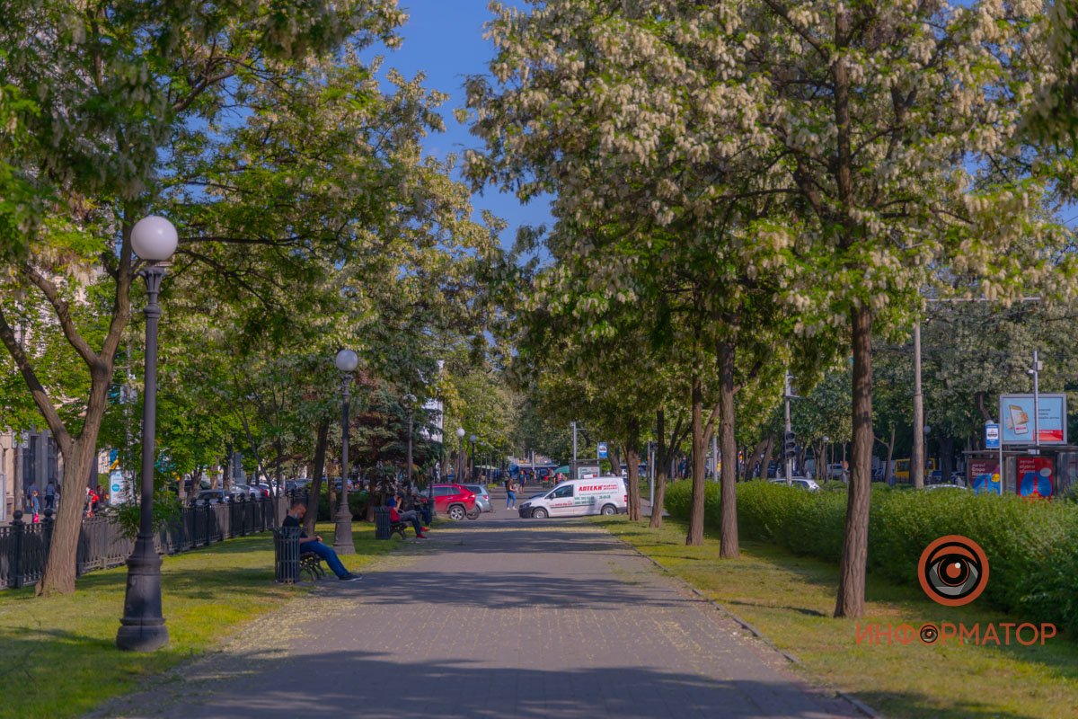 Приятный день Приятный день