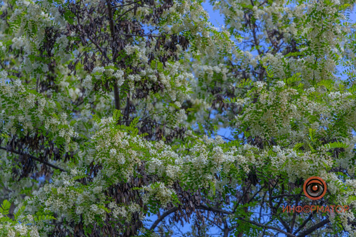 Красотища Красотища