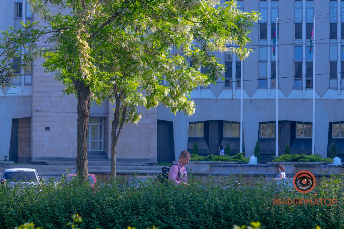 В самом центре В самом центре