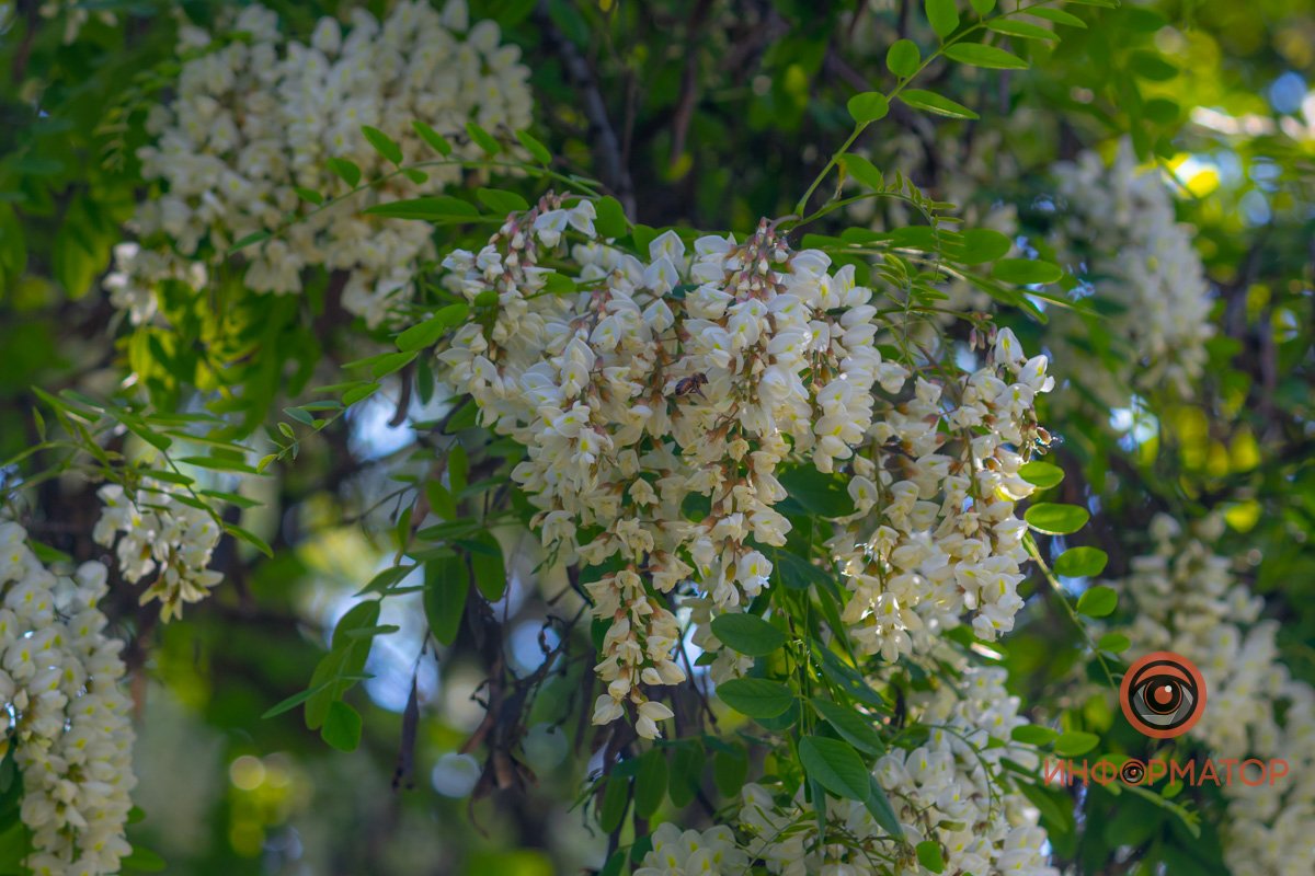 Такие нежные Такие нежные