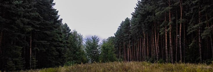 Древний вулкан, водопад и крепость: топ-20 необычных мест в Днепропетровской области 19