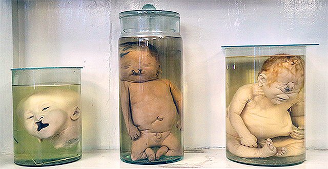 Экскурсии по заводам, пешеходные пространства, крутые кафешки и сказочные домики: что посмотреть в Днепре 13