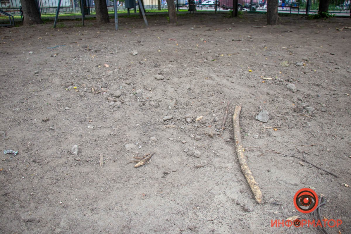 В Днепре на Новокрымской жильцы не довольны площадкой для выгула собак: как решить проблему 8