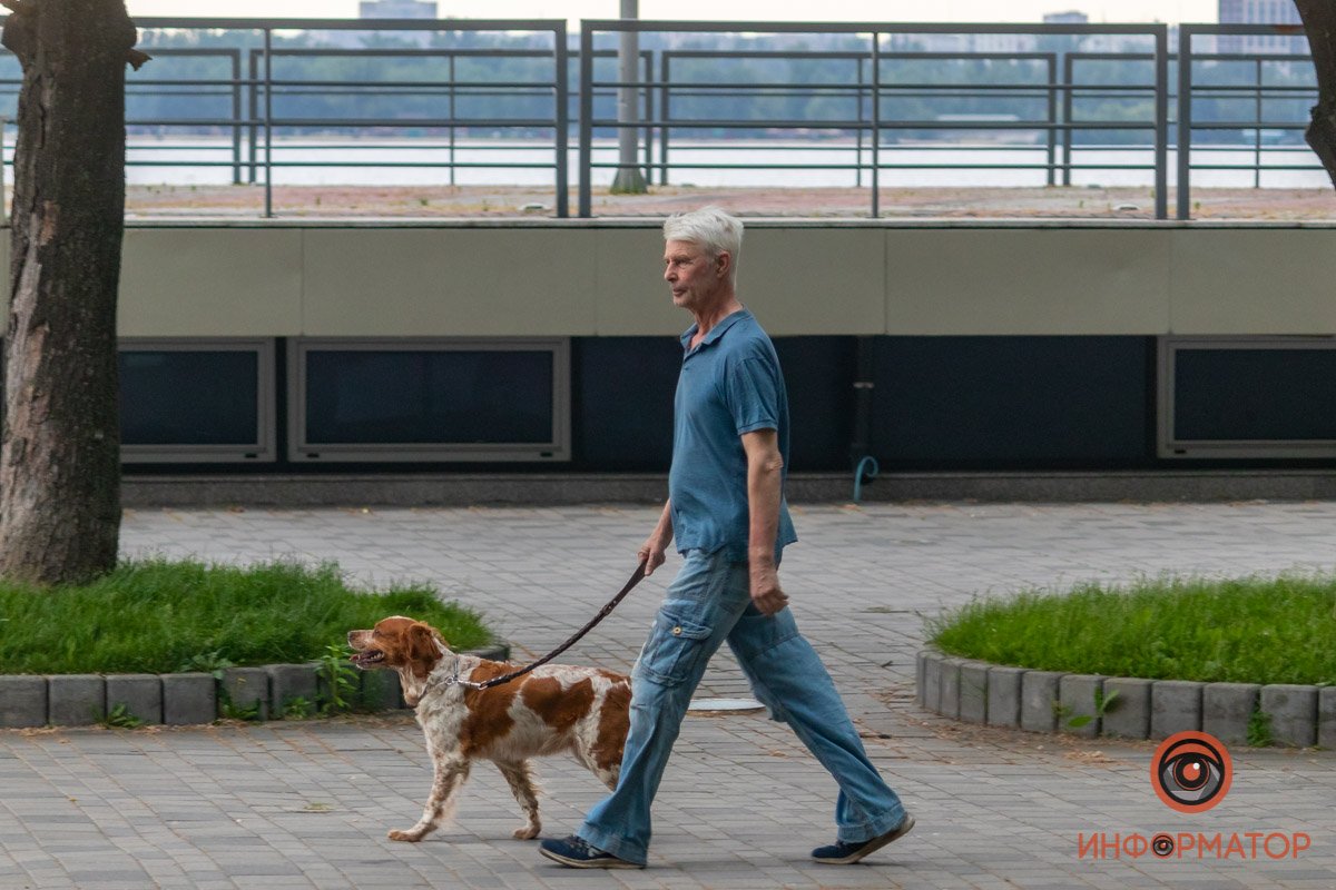 Не забудьте погулять со своим домашним любимцем
