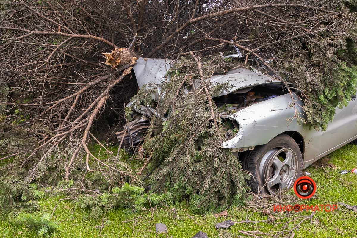 Daewoo Lanos вылетел на разделительный газон и снес три ели Daewoo Lanos вылетел на разделительный газон и снес три ели