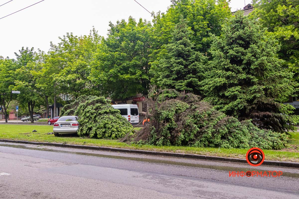 Водитель с места ДТП убежал пешком Водитель с места ДТП убежал пешком