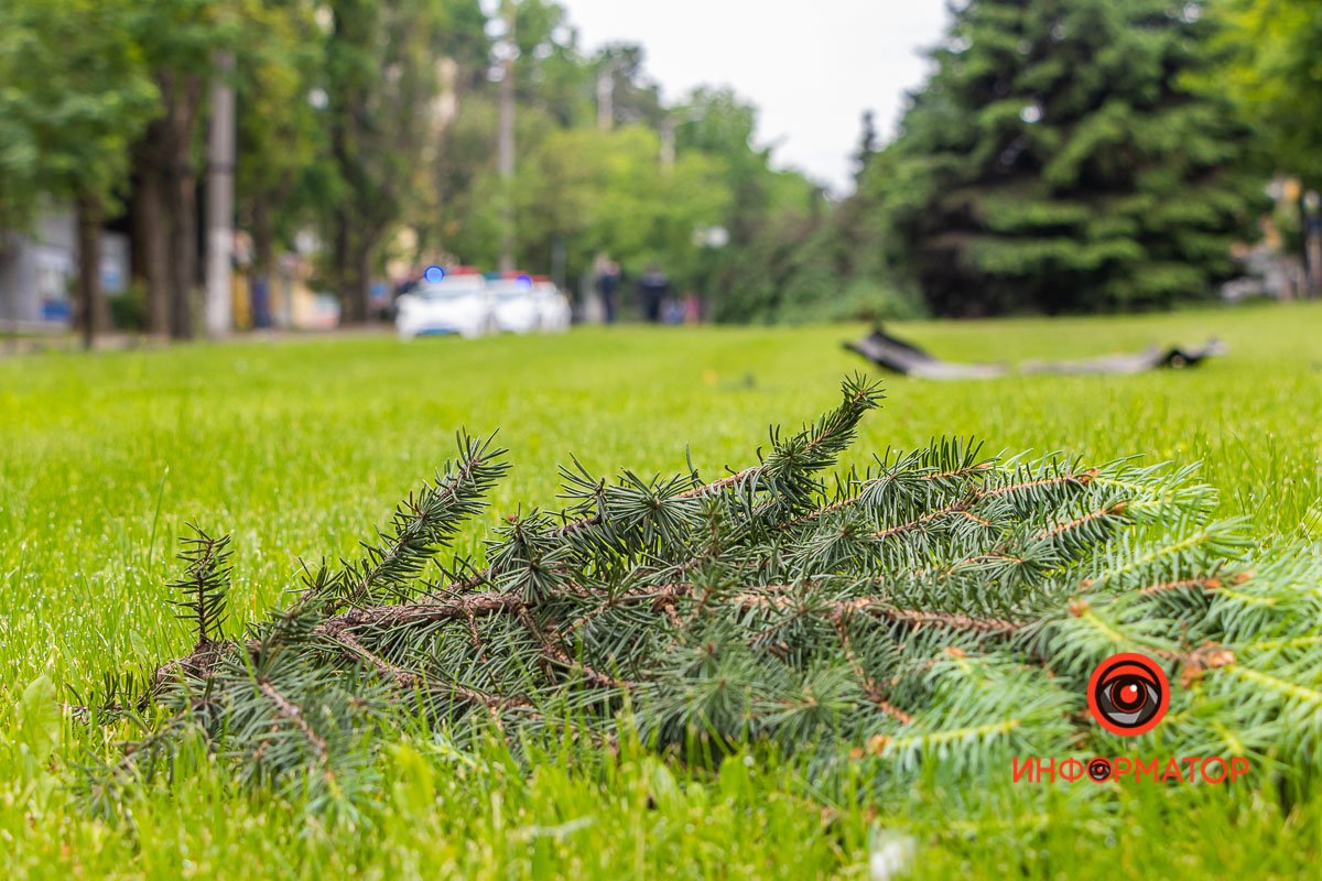 На месте работают патрульные, водителя ищут На месте работают патрульные, водителя ищут
