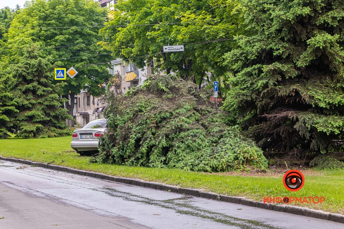 К счастью, никто не пострадал К счастью, никто не пострадал